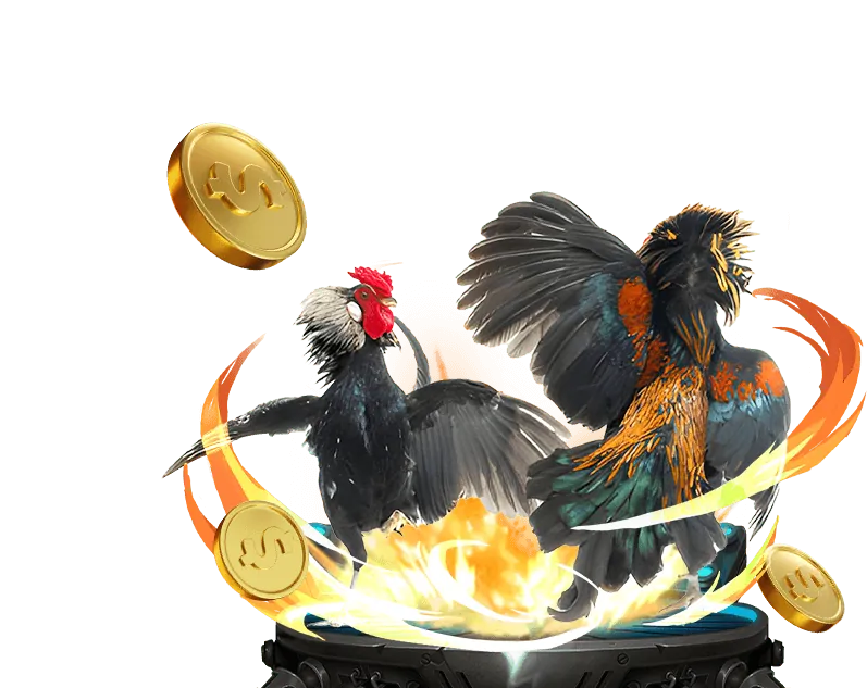 Đa dạng các môn thể thao tại vt88 casino